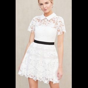 SELF-PORTRAIT Grosgrain-trimmed Guipure Lace Mini Dress US4